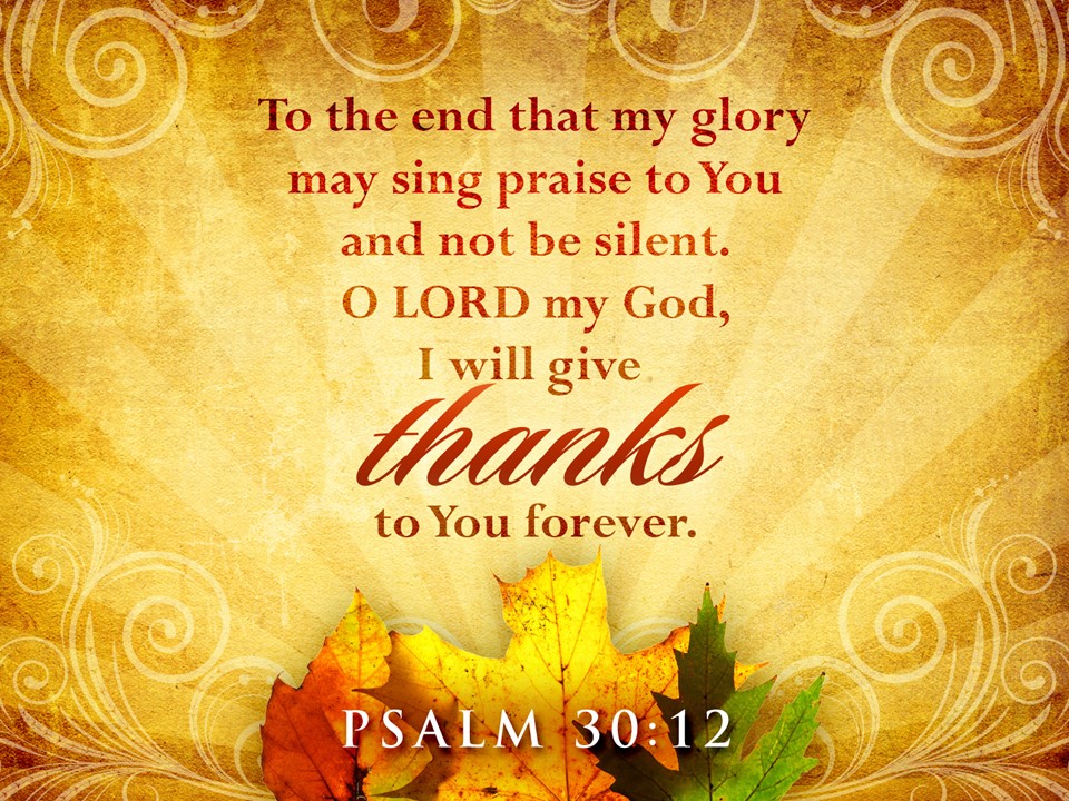 Happy Thanksgiving